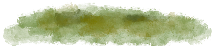 Grass abstract background stain